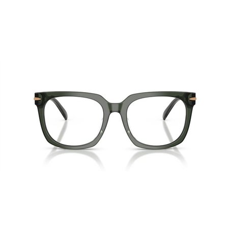 Michael Kors ONTARIO MK4176U 3961