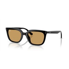 Ray-Ban RB4439D 901/73