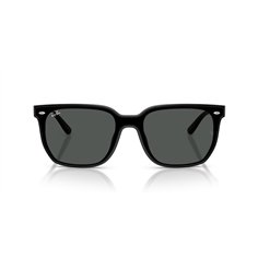 Ray-Ban RB4466D 601/87 2