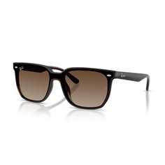 Ray-Ban RB4466D 714/13
