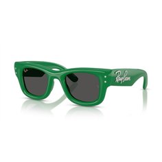 Ray-Ban WAYFARER PUFFER RB4940B 685987