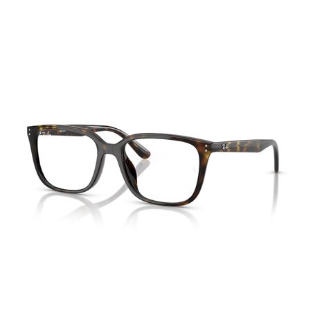 Ray-Ban RX7248D 2012