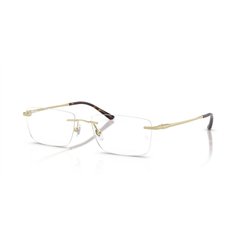 Ray-Ban RX8781D 1251