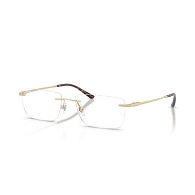 Ray-Ban RX8781D 1251