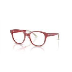 Ray-Ban Junior RY1950 7204