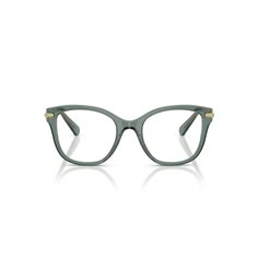 Swarovski SK2044 1043 2