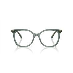 Swarovski SK2055 1043 2