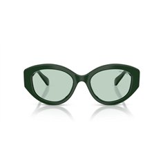 Swarovski SK6005 1026M1 2