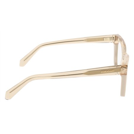 Salvatore Ferragamo SF3052 260