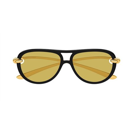 Bottega Veneta BV1418S 001